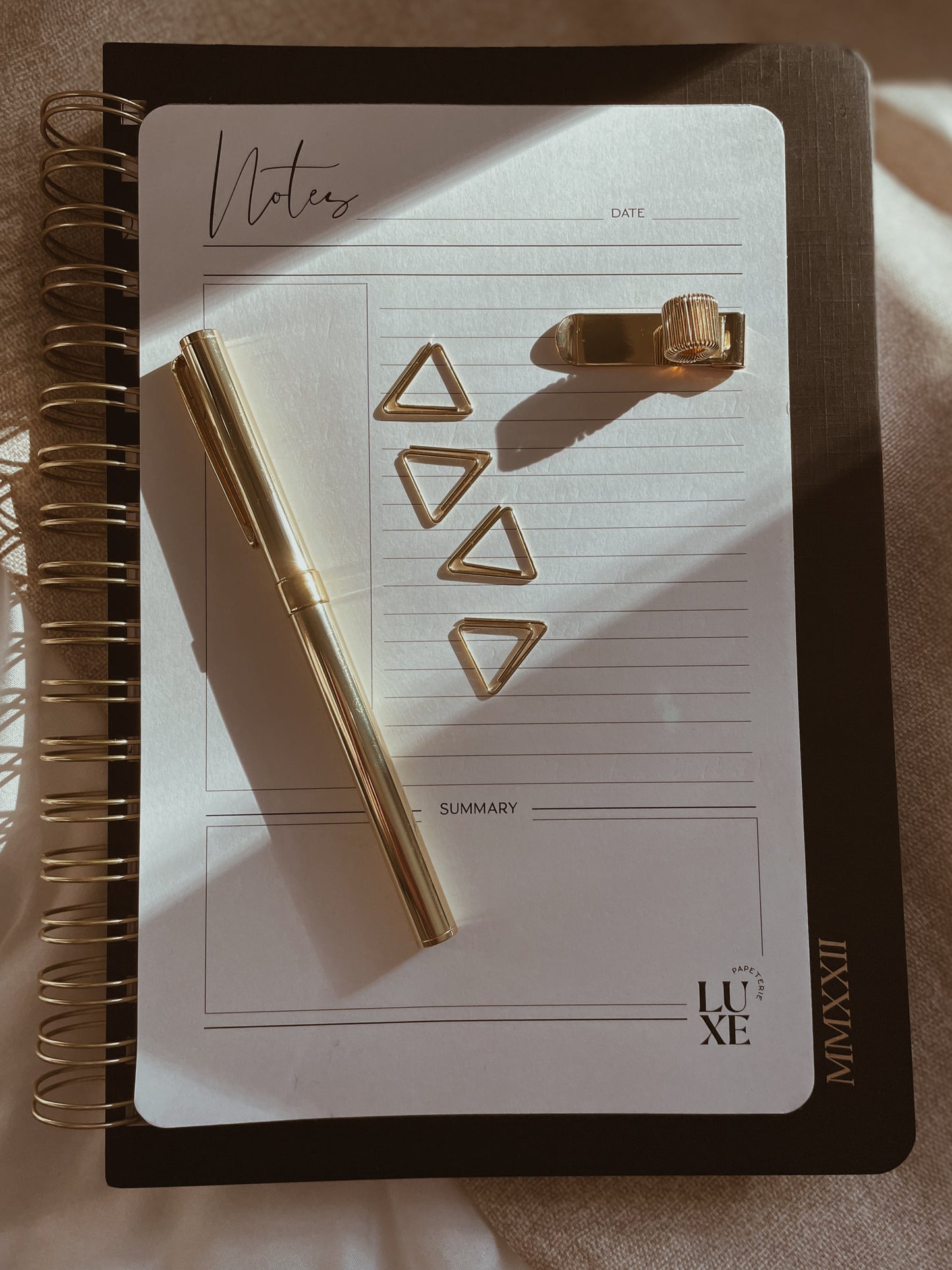 Triangle Archivist Gold Paper Clip