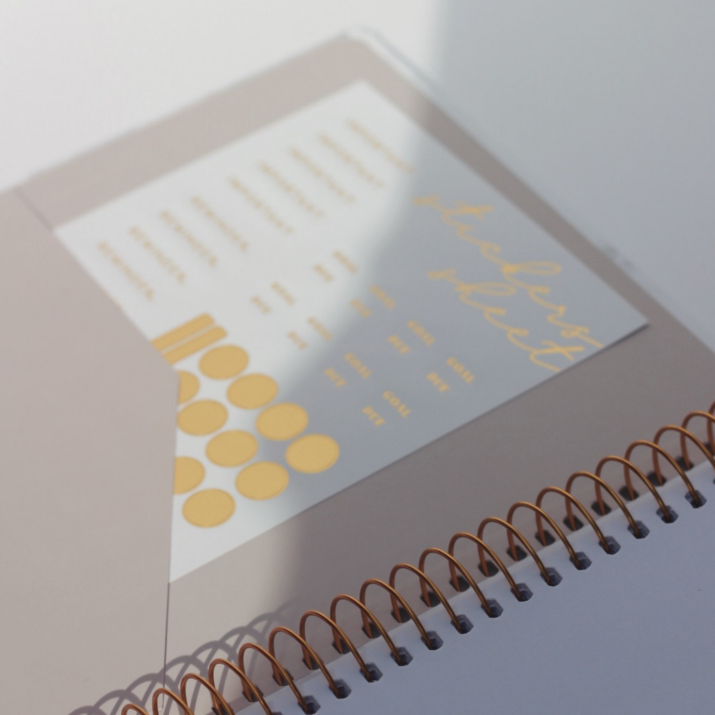 Flagship Gold Stickers | Accessories | Day Designer